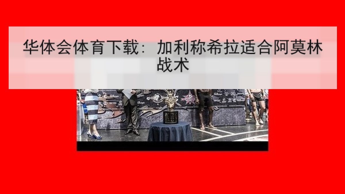 华体会体育下载: 加利称希拉适合阿莫林战术 华体会体育下载: 加利称希拉适合阿莫林战术